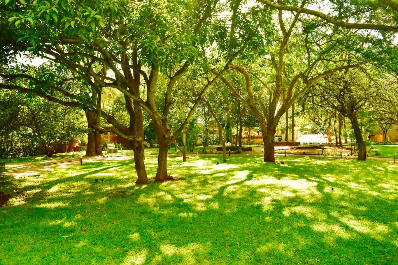 Indraprastha gallery
